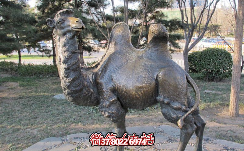 創(chuàng)意大型玻璃鋼駱駝雕塑，在草地上擺放，一眼回頭
